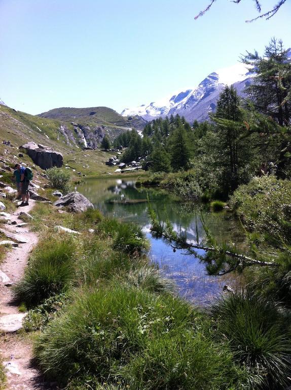 Apartmán Hausroc-Zermatt Pokoj fotografie